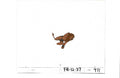 Flash Gordon Animation Cel EX3192 - Animation Legends
