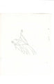 She-Ra Princess of Power animation sketch EX4306 - Animation Legends