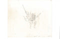 She-Ra Princesses of Power sketch EX4957 - Animation Legends