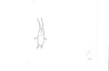 Sponegbob Squarepants sketch EX5108 - Animation Legends