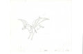 She-Ra Princesses of Power sketch EX5193 - Animation Legends