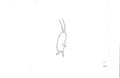 Spongebob Squarepants sketch EX5213 - Animation Legends