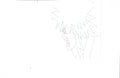 Naruto Shippuden sketch EX5291 - Animation Legends