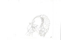 Street Sharks sketch EX5559 - Animation Legends