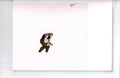 Jojos Bizarre Adventure cel EX5763 - Animation Legends