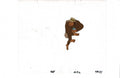 Filmation Ghostbusters cel EX5940 - Animation Legends