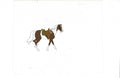 Lone Ranger cel EX6421 - Animation Legends