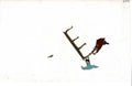 Little Nemo Adventures in Slumberland cel EX6635 - Animation Legends