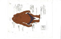 Star Wars Ewoks cel model EX6722 - Animation Legends