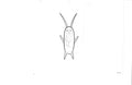 Spongebob Squarepants sketch EX7036 - Animation Legends