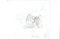 Star Wars: Ewoks sketch EX7590 - Animation Legends